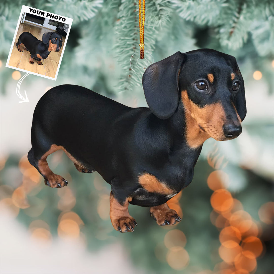 Best Dog - Personalized Photo Mica Ornament - Christmas Gift For Dog Lovers, Pet Owners