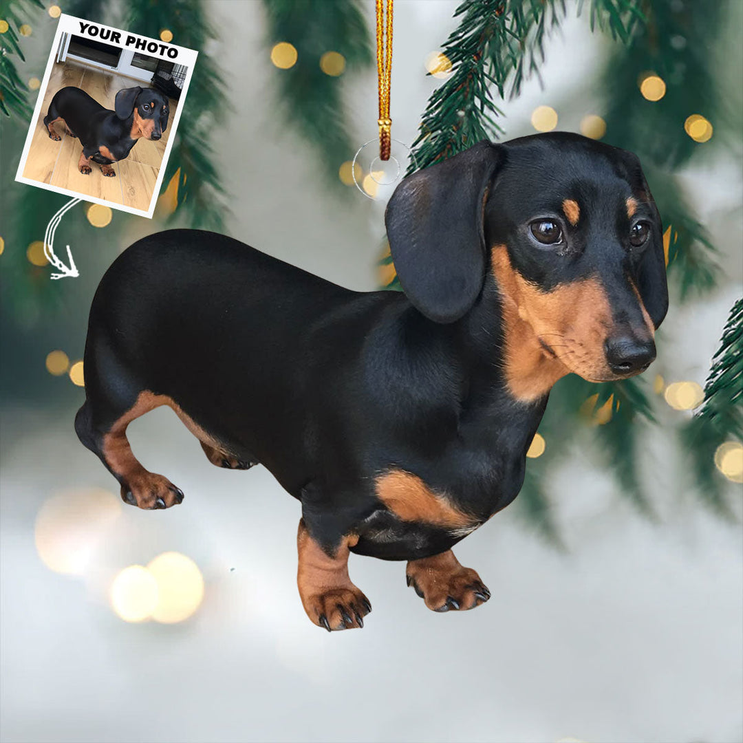 Best Dog - Personalized Photo Mica Ornament - Christmas Gift For Dog Lovers, Pet Owners