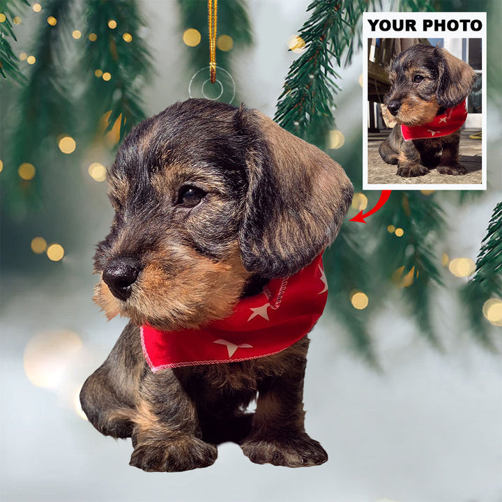 Barking Bells - Personalized Photo Mica Ornament - Christmas Gift For Pet Lovers