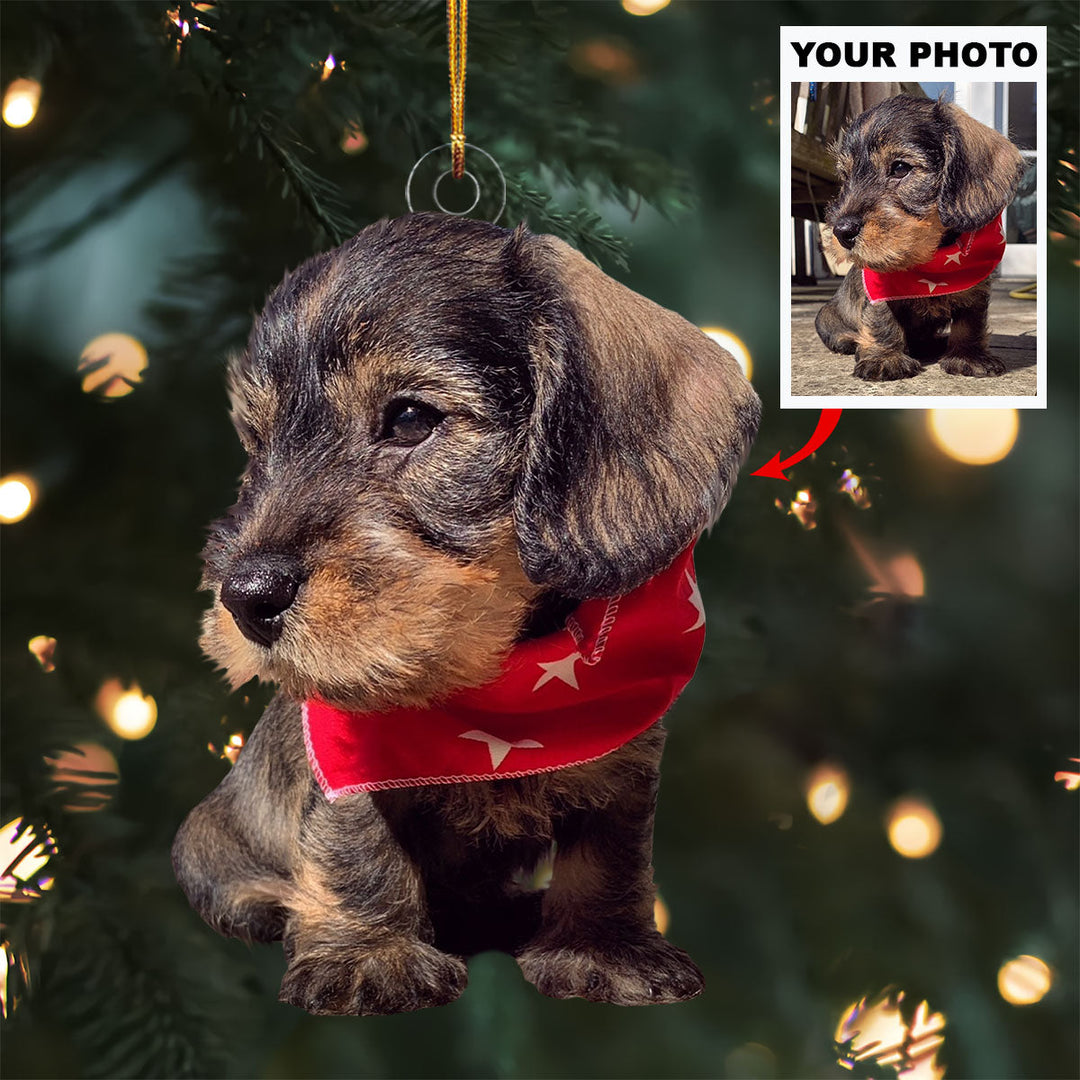 Barking Bells - Personalized Photo Mica Ornament - Christmas Gift For Pet Lovers