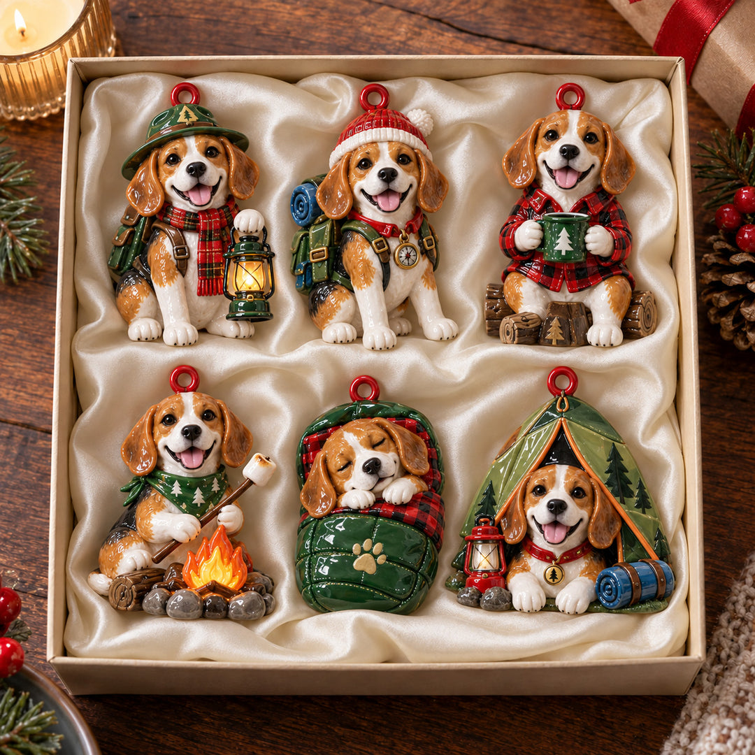 Beagle Adventures Acrylic Ornament Gift Set NCU0HT285