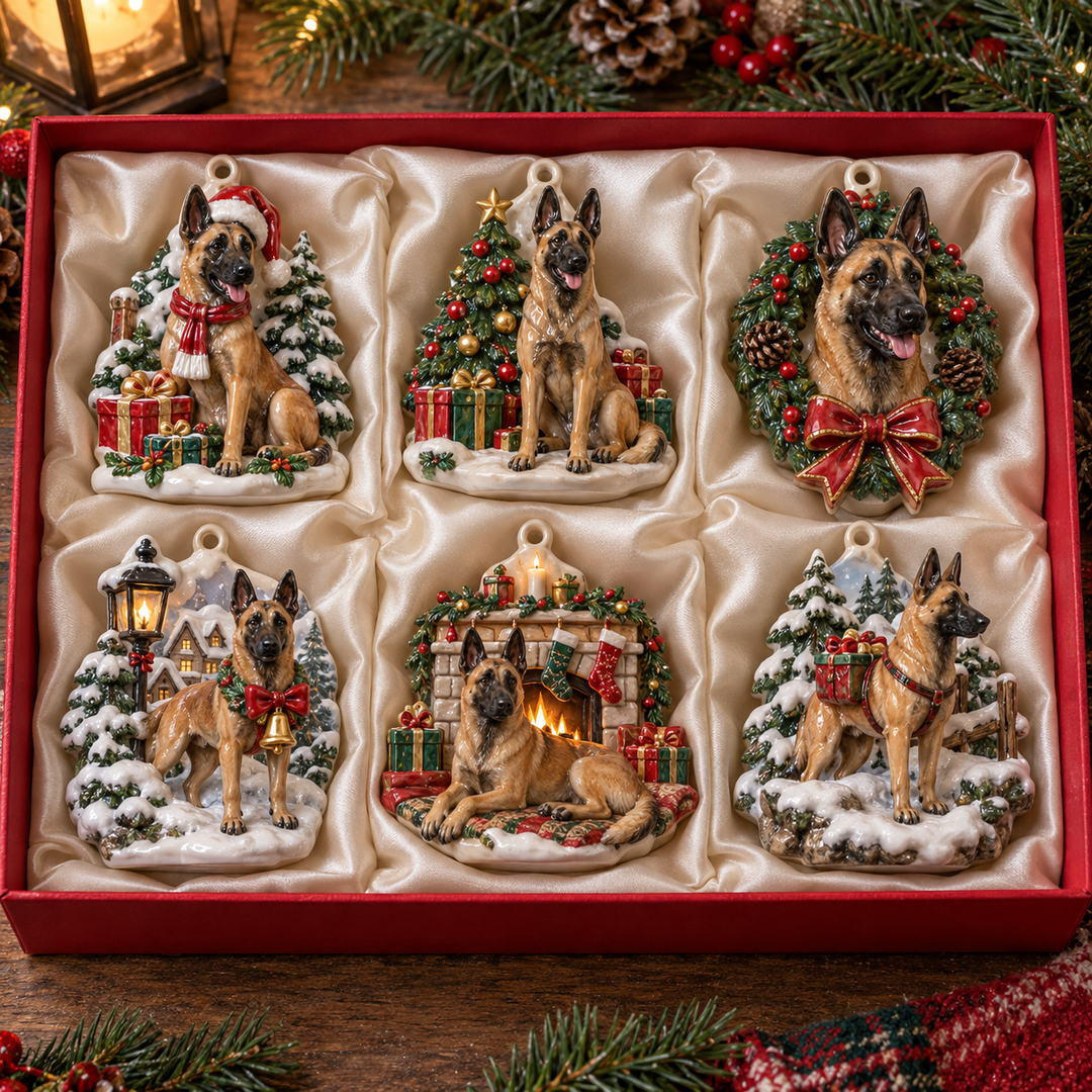 Belgian Malinois Christmas Ornament Gift Set NCU0HA115