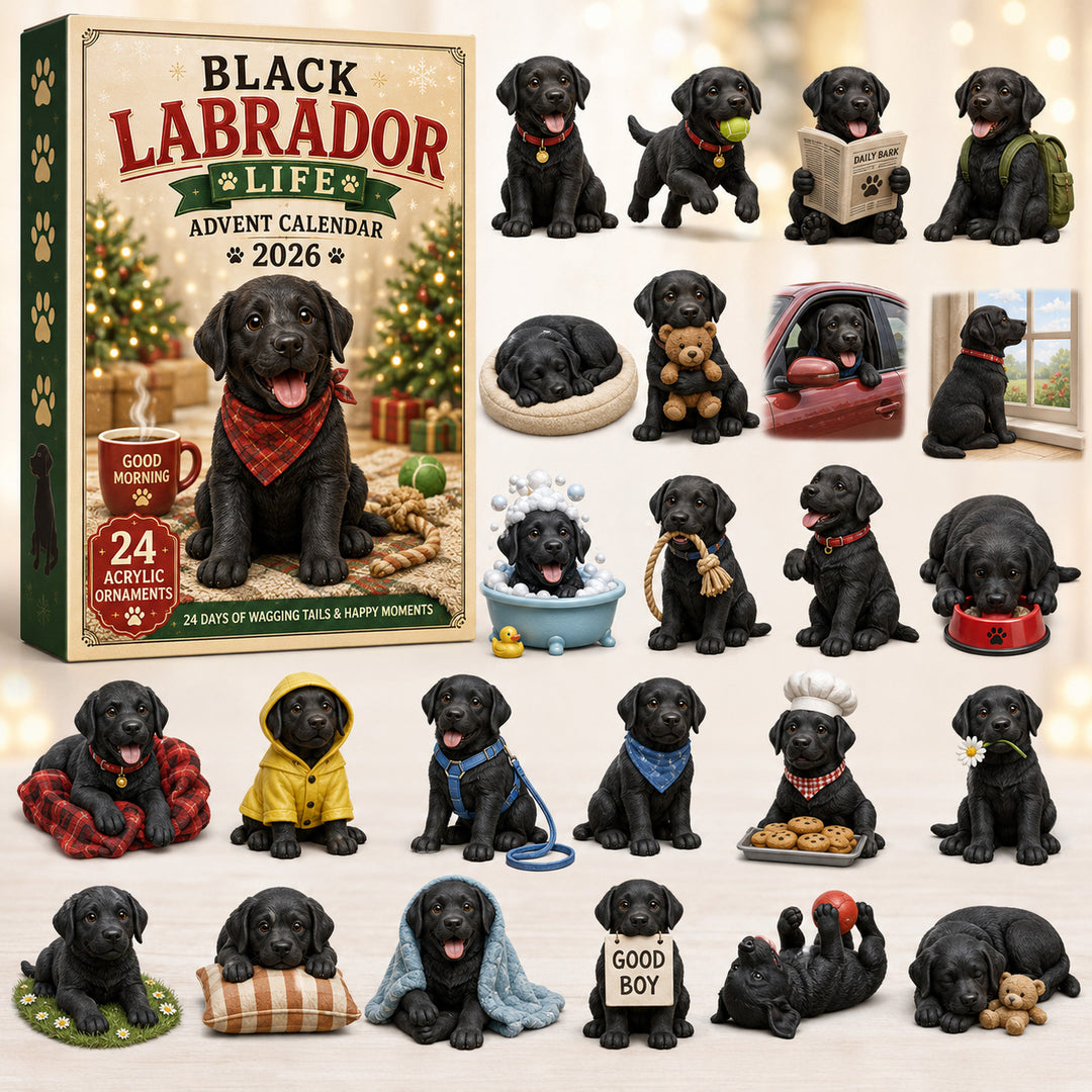 CHRISTMAS KICKOFF 40% OFF - Black Labrador Life Advent Calendar 2026 - 24-Day Festive Countdown, Acrylic Charms Blind Box - Gift For Labrador Lovers AC0HT256
