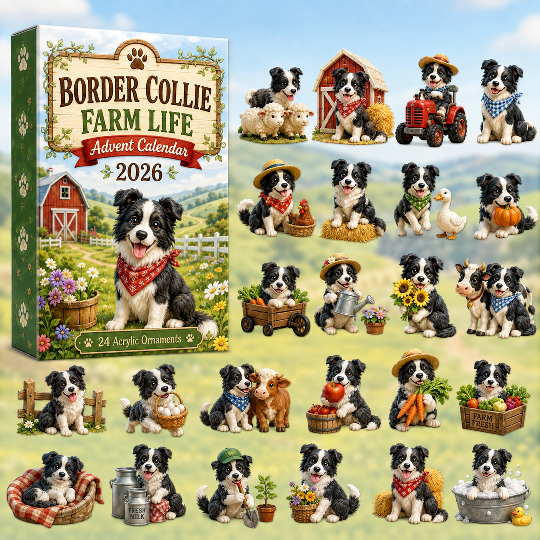 CHRISTMAS KICKOFF 40% OFF - Border Collie Farm Life Advent Calendar 2026 - 24-Day Festive Countdown, Acrylic Charms Blind Box - Gift For Border Collie Lovers AC0HT172