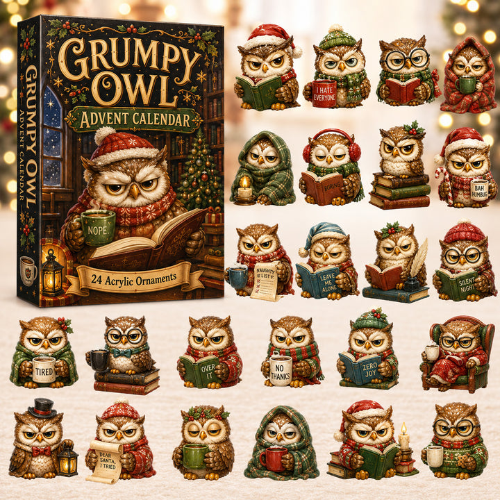 CHRISTMAS KICKOFF 40% OFF - Grumpy Owl Advent Calendar 2026 - 24-Day Festive Countdown, Acrylic Charms Blind Box - Gift For Owl Lovers AC0HT366