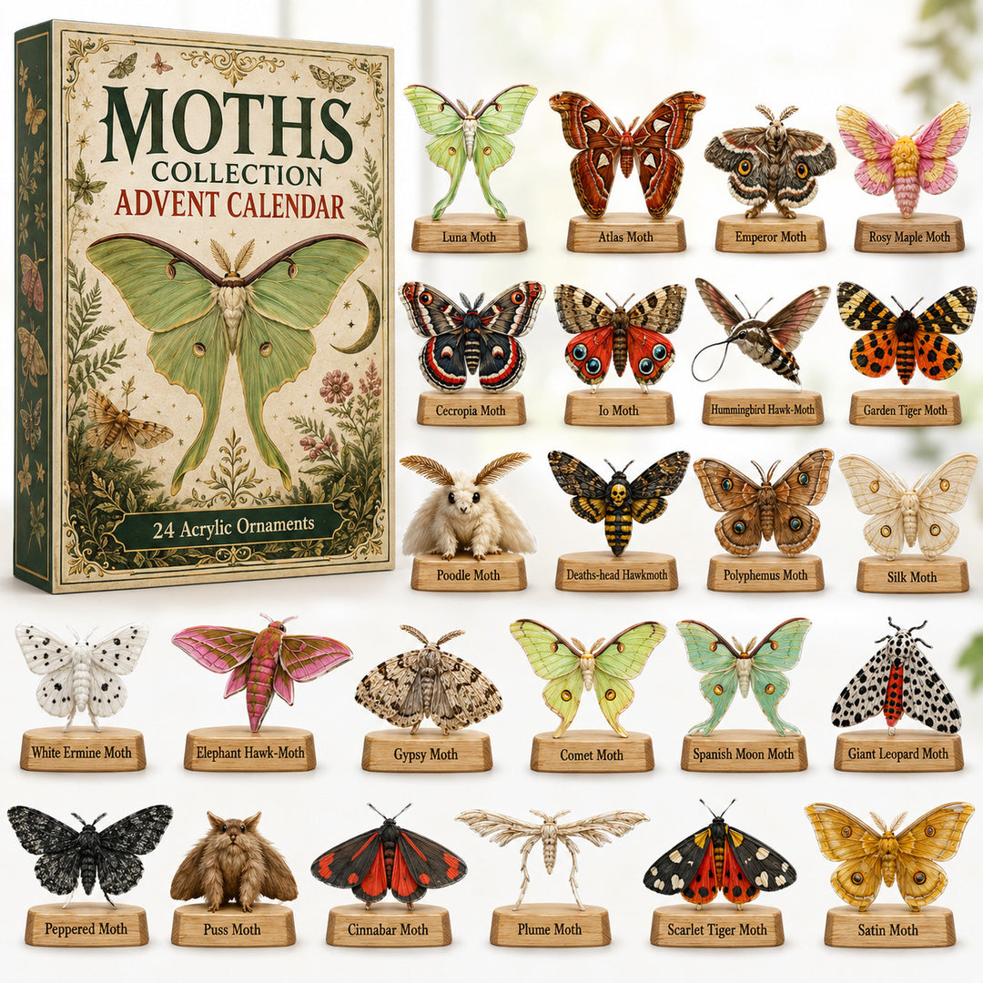 CHRISTMAS KICKOFF 40% OFF - Moths Collection Advent Calendar 2026 - 24-Day Festive Countdown, Acrylic Charms Blind Box - Gift For Nature Lovers AC0HT216