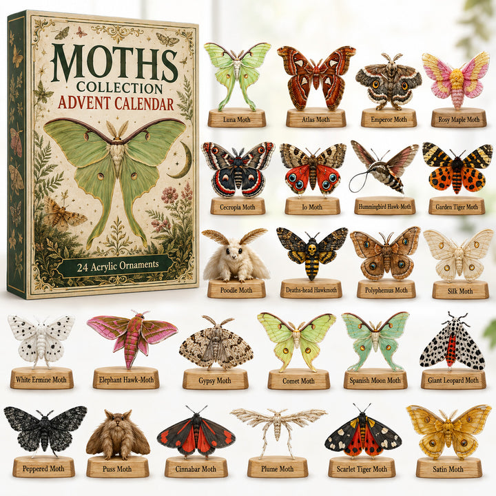 CHRISTMAS KICKOFF 40% OFF - Moths Collection Advent Calendar 2026 - 24-Day Festive Countdown, Acrylic Charms Blind Box - Gift For Nature Lovers AC0HT216