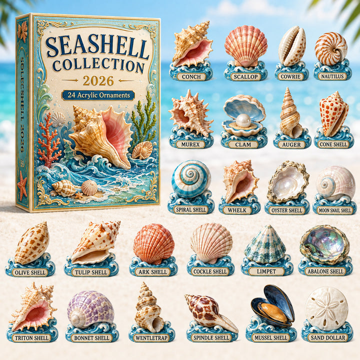 CHRISTMAS KICKOFF 40% OFF - Seashell Collection Advent Calendar 2026 - 24-Day Festive Countdown, Acrylic Charms Blind Box - Gift For Ocean Lovers, Family & Friends AC0HT231