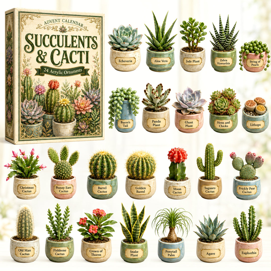 CHRISTMAS KICKOFF 40% OFF - Succulents & Cacti Advent Calendar 2026 - 24-Day Festive Countdown, Acrylic Charms Blind Box - Gift For Nature Lovers AC0HT217