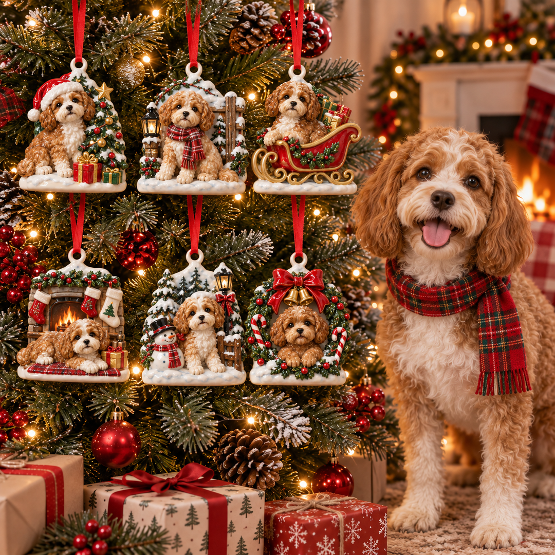 Cavapoo Christmas Acrylic Ornament Gift Set NCU0TM173