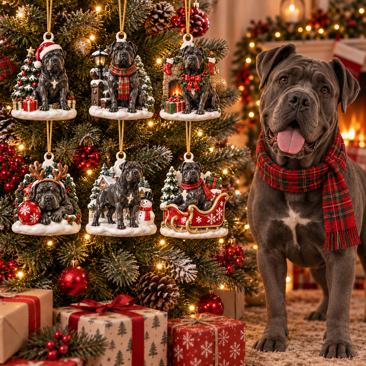 Christmas Cane Corso Acrylic Ornament Gift Set NCU0NT141