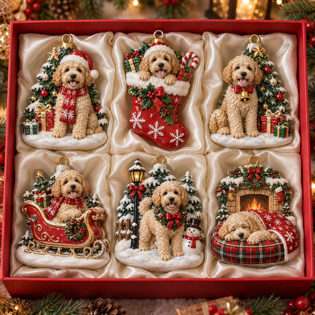 Christmas Goldendoodle Acrylic Ornament Gift Set NCU0NT138