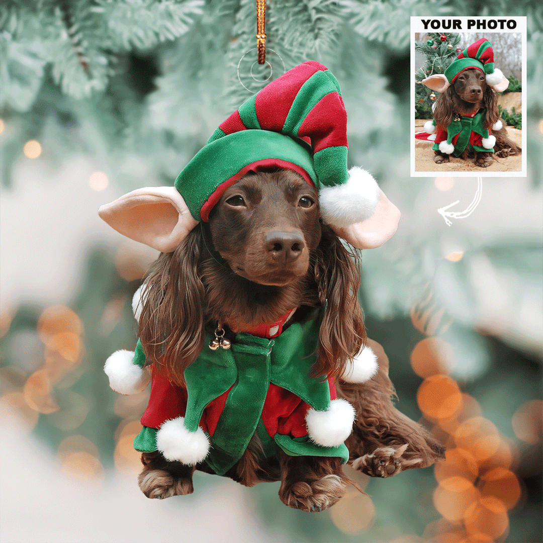 Christmas Joy - Personalized Photo Mica Ornament - Gift For Dog Lovers, Pet Lovers, Dog Mom, Dog Dad