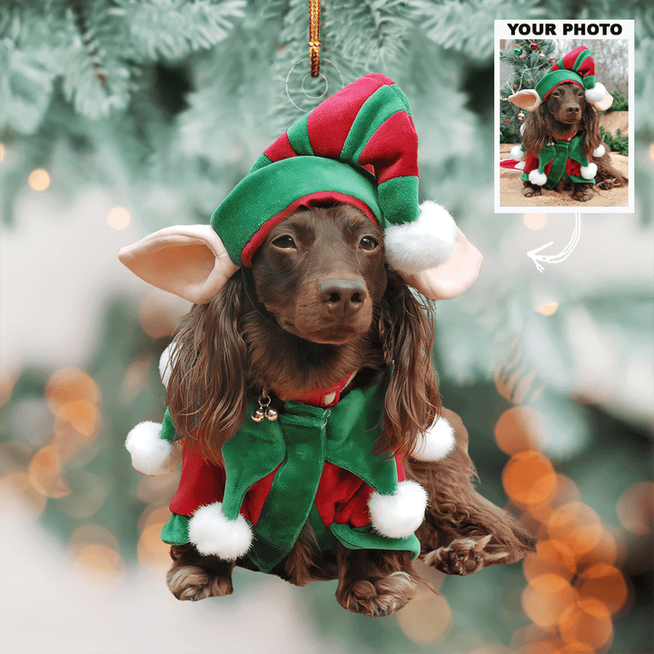 Christmas Joy - Personalized Photo Mica Ornament - Gift For Dog Lovers, Pet Lovers, Dog Mom, Dog Dad