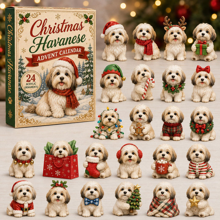 CHRISTMAS KICKOFF 40% OFF - Christmas Havanese Advent Calendar 2026 - 24-Day Festive Countdown, Acrylic Charms Blind Box - Gift For Havanese Lovers AC0NT206