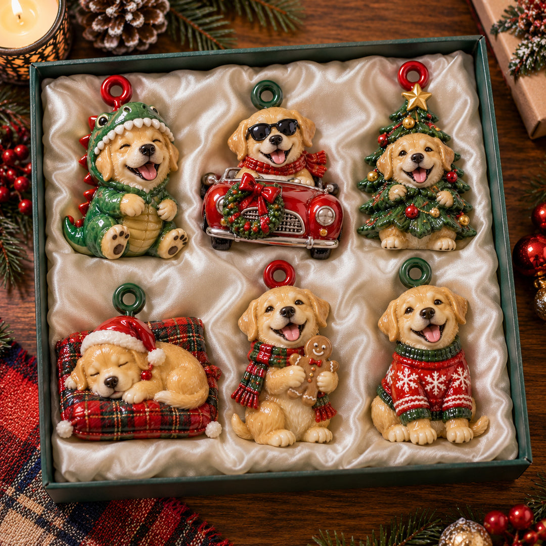 Christmas Labrador Acrylic Ornament Gift Set NCU0HT250