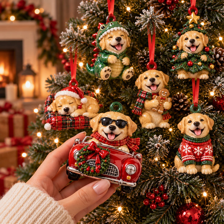 Christmas Labrador Acrylic Ornament Gift Set NCU0HT250