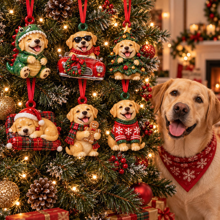 Christmas Labrador Acrylic Ornament Gift Set NCU0HT250