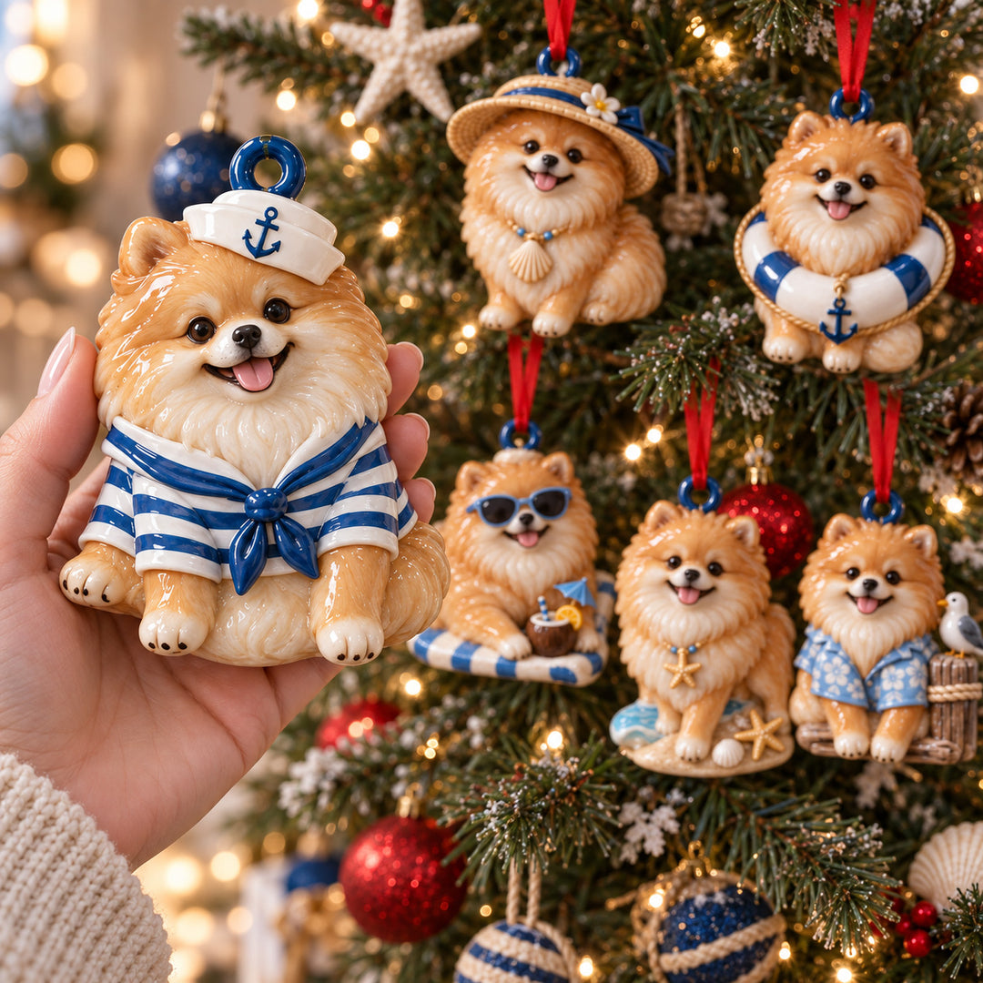 Coastal Pomeranian Acrylic Ornament Gift Set NCU0HT283
