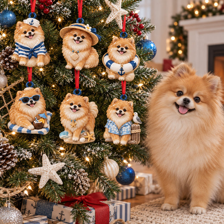 Coastal Pomeranian Acrylic Ornament Gift Set NCU0HT283