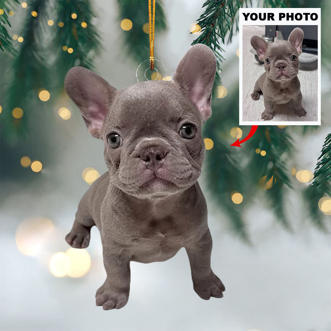 Cozy Canine - Personalized Photo Mica Ornament - Christmas Gift For Pet Lovers