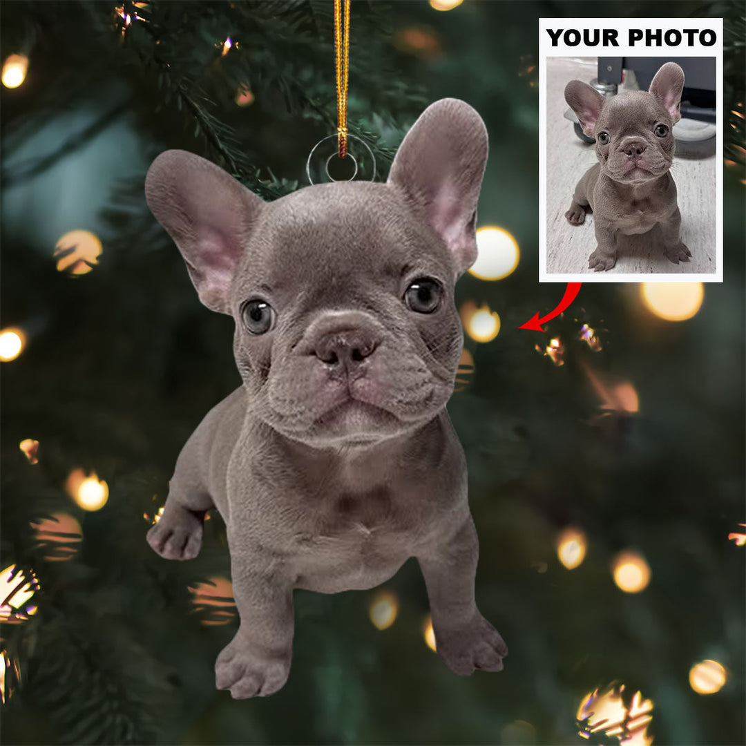 Cozy Canine - Personalized Photo Mica Ornament - Christmas Gift For Pet Lovers