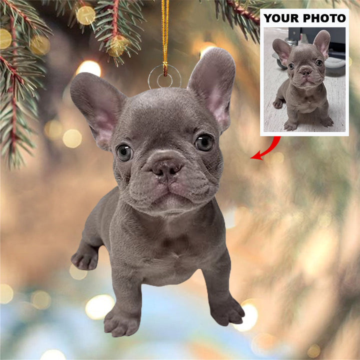 Cozy Canine - Personalized Photo Mica Ornament - Christmas Gift For Pet Lovers