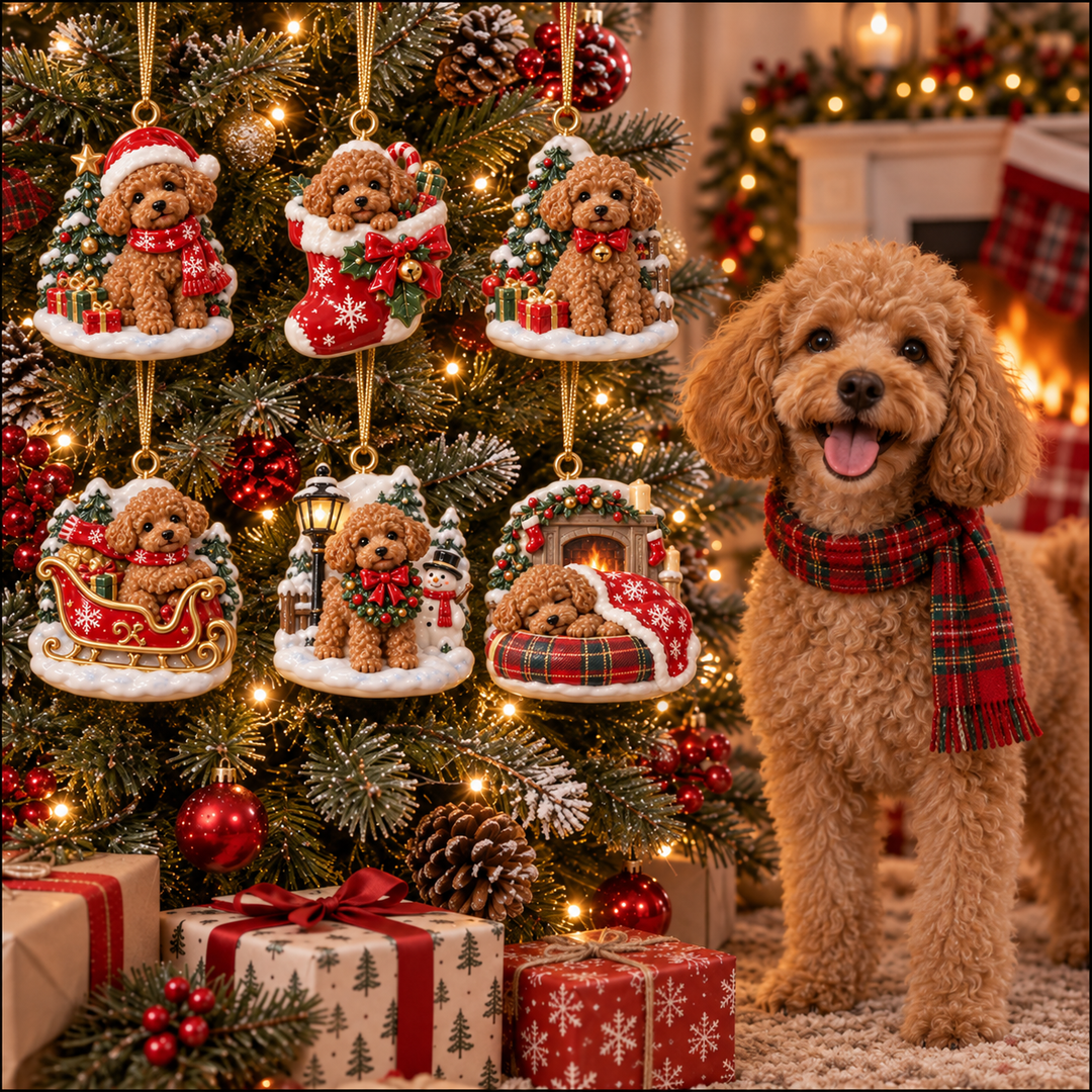 Cute Christmas Brown Poodle Acrylic Ornament Gift Set NCU0NT140