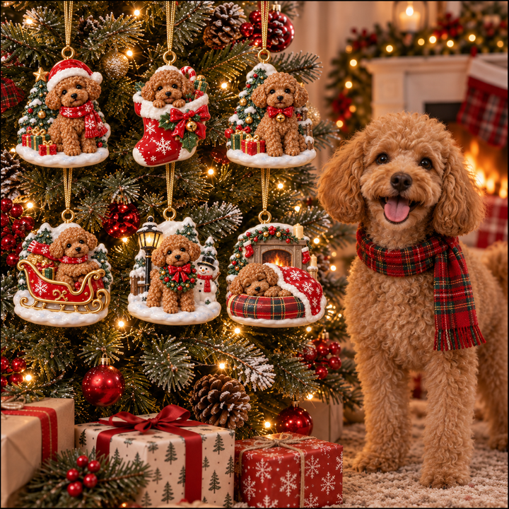 Cute Christmas Brown Poodle Acrylic Ornament Gift Set NCU0NT140