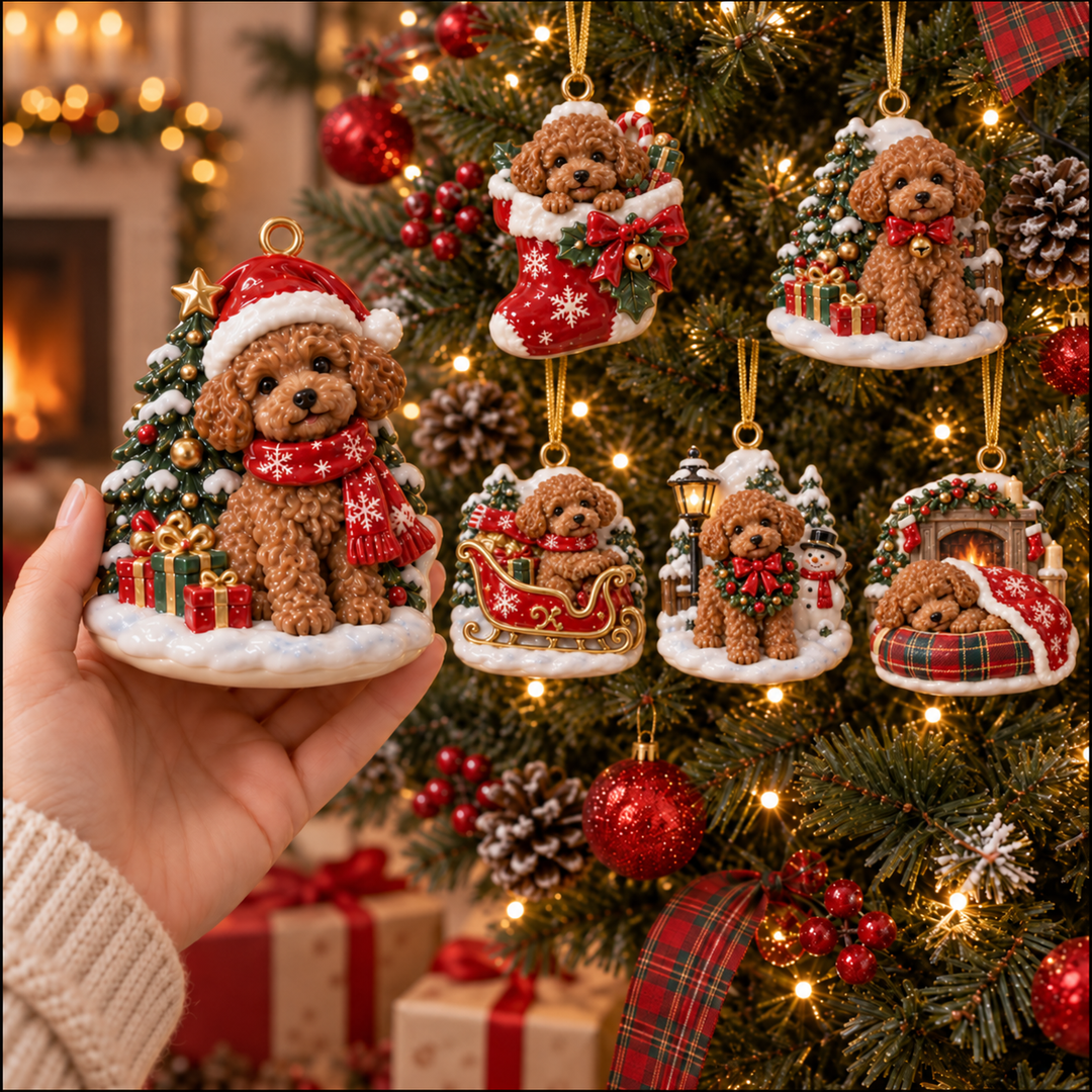 Cute Christmas Brown Poodle Acrylic Ornament Gift Set NCU0NT140