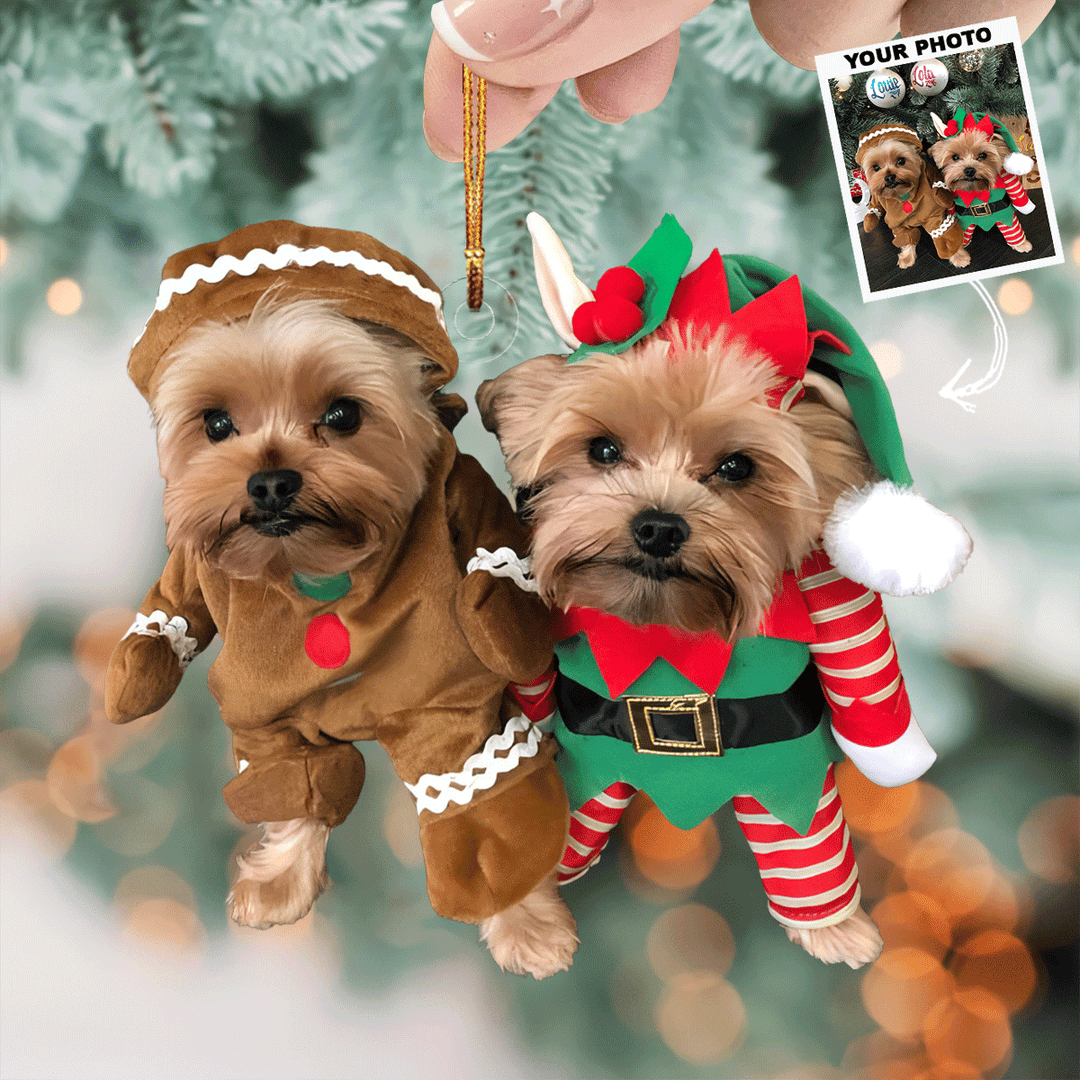 Cute Duo - Personalized Photo Mica Ornament - Gift For Dog Lovers, Pet Lovers, Dog Mom, Dog Dad