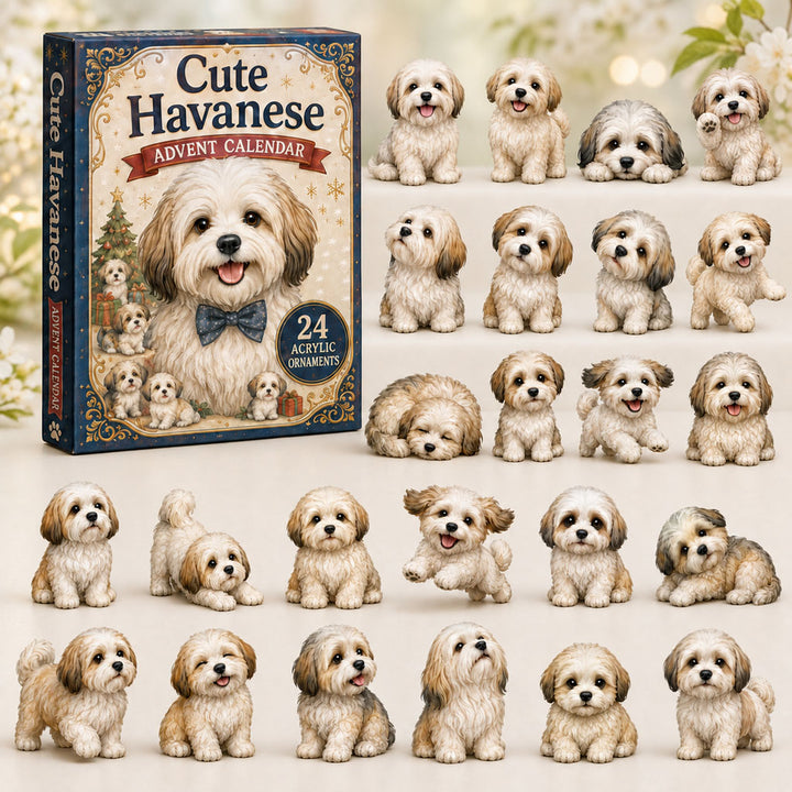 CHRISTMAS KICKOFF 40% OFF - Cute Havanese Advent Calendar 2026 - 24-Day Festive Countdown, Acrylic Charms Blind Box - Gift For Havanese Lovers AC0NT208