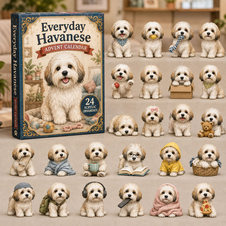 CHRISTMAS KICKOFF 40% OFF - Everyday Havanese Advent Calendar 2026 - 24-Day Festive Countdown, Acrylic Charms Blind Box - Gift For Havanese Lovers AC0NT209