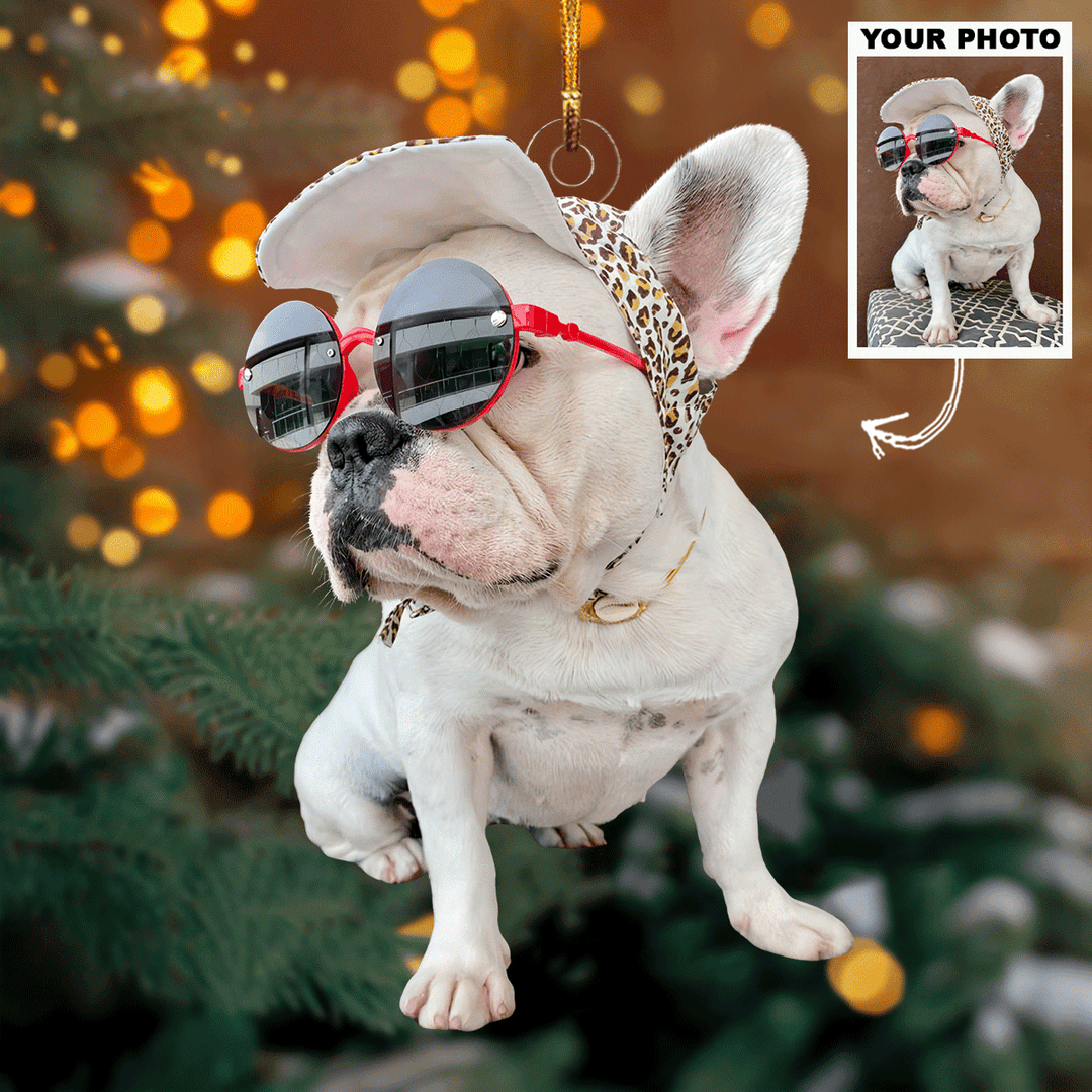 Fashion Icon - Personalized Photo Mica Ornament - Gift For Dog Lovers, Pet Lovers, Dog Mom, Dog Dad