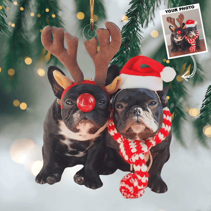 Festive Pair - Personalized Photo Mica Ornament - Gift For Dog Lovers, Pet Lovers, Dog Mom, Dog Dad