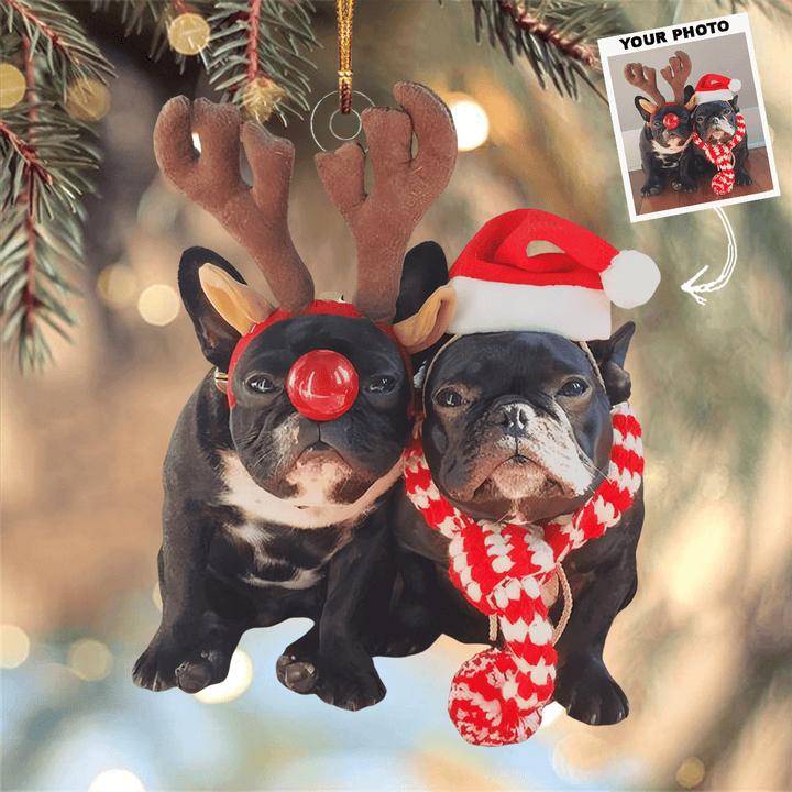 Festive Pair - Personalized Photo Mica Ornament - Gift For Dog Lovers, Pet Lovers, Dog Mom, Dog Dad