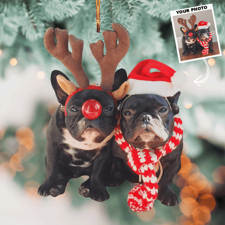 Festive Pair - Personalized Photo Mica Ornament - Gift For Dog Lovers, Pet Lovers, Dog Mom, Dog Dad