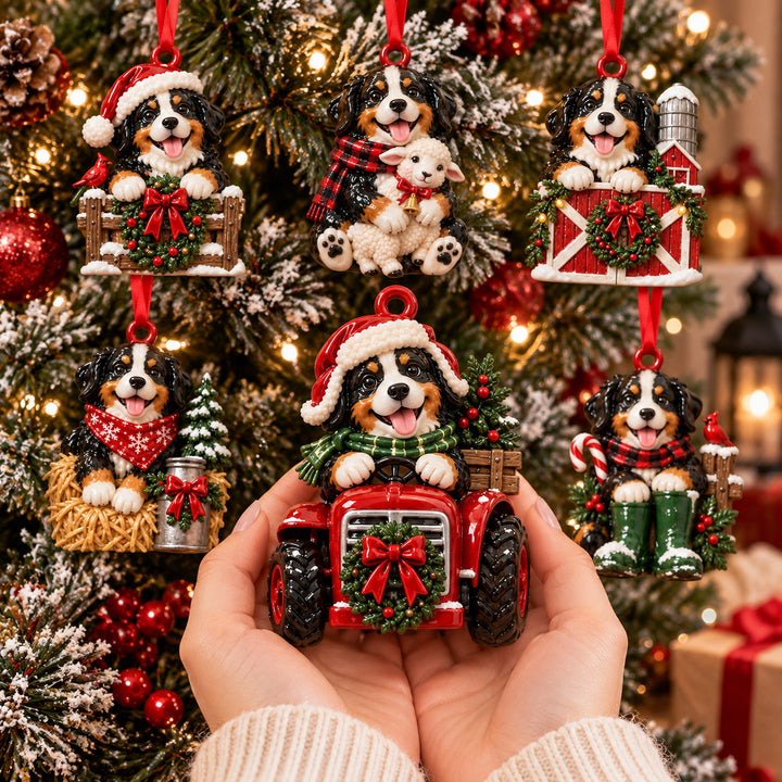 Festive Bernese Farm Acrylic Ornament Gift Set NCU0HT191