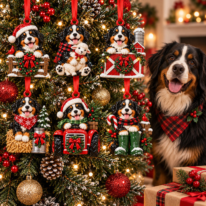 Festive Bernese Farm Acrylic Ornament Gift Set NCU0HT191
