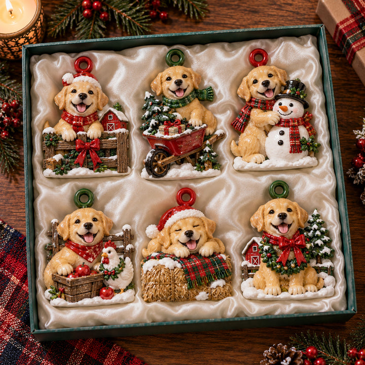 Festive Lab Farm Acrylic Ornament Gift Set NCU0HT251