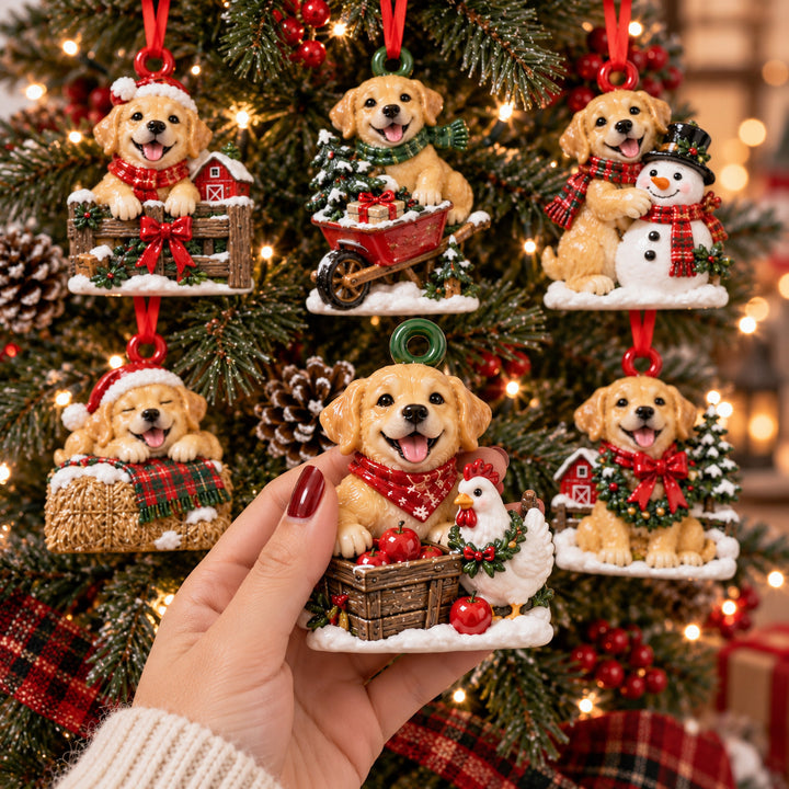 Festive Lab Farm Acrylic Ornament Gift Set NCU0HT251