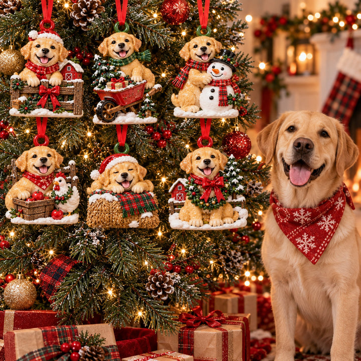 Festive Lab Farm Acrylic Ornament Gift Set NCU0HT251