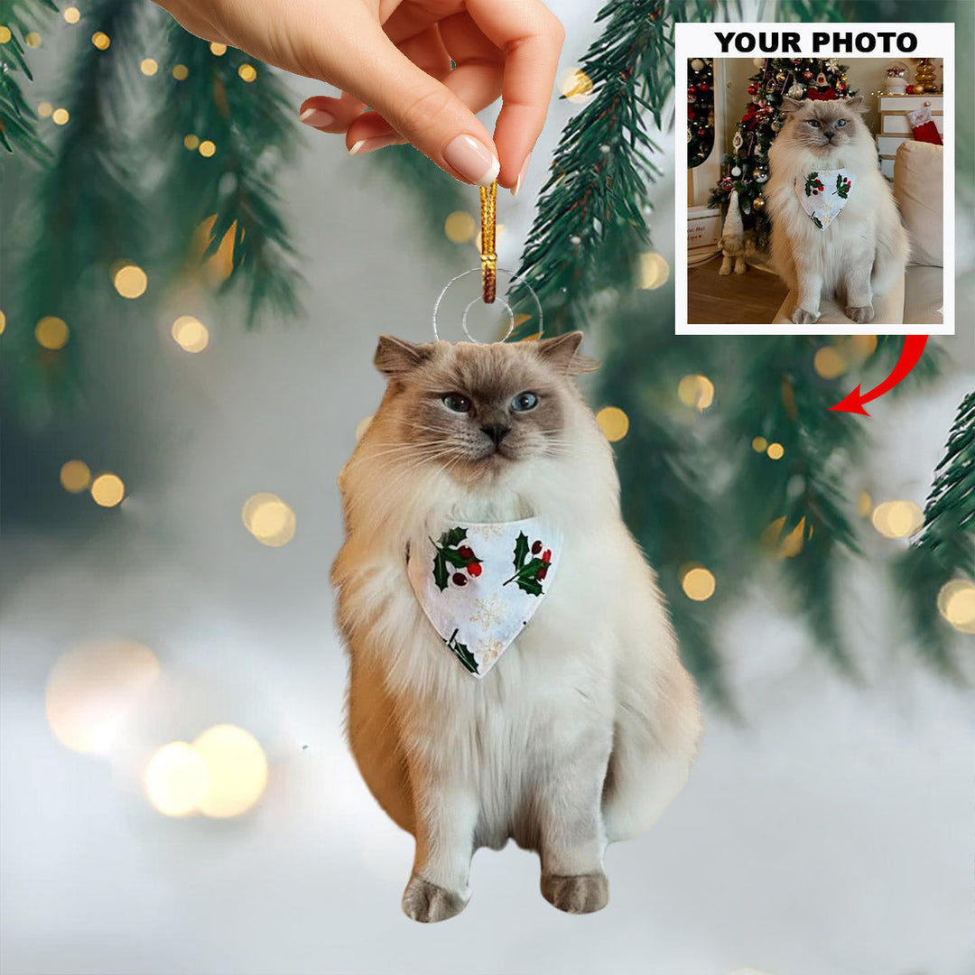 Fluffy Cat Magic - Personalized Photo Mica Ornament - Christmas Gift For Pet Lovers