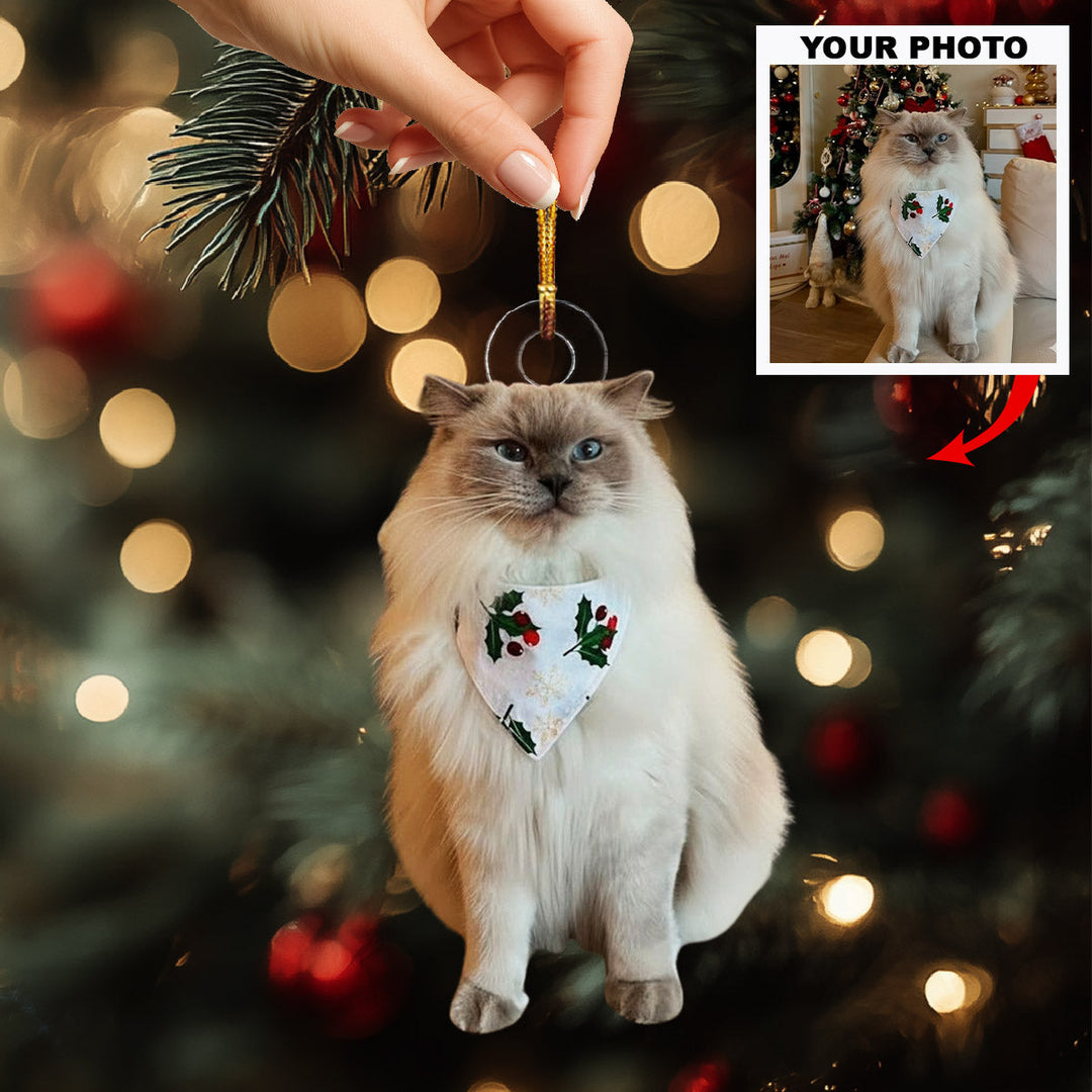 Fluffy Cat Magic - Personalized Photo Mica Ornament - Christmas Gift For Pet Lovers