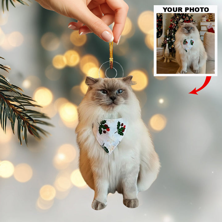 Fluffy Cat Magic - Personalized Photo Mica Ornament - Christmas Gift For Pet Lovers
