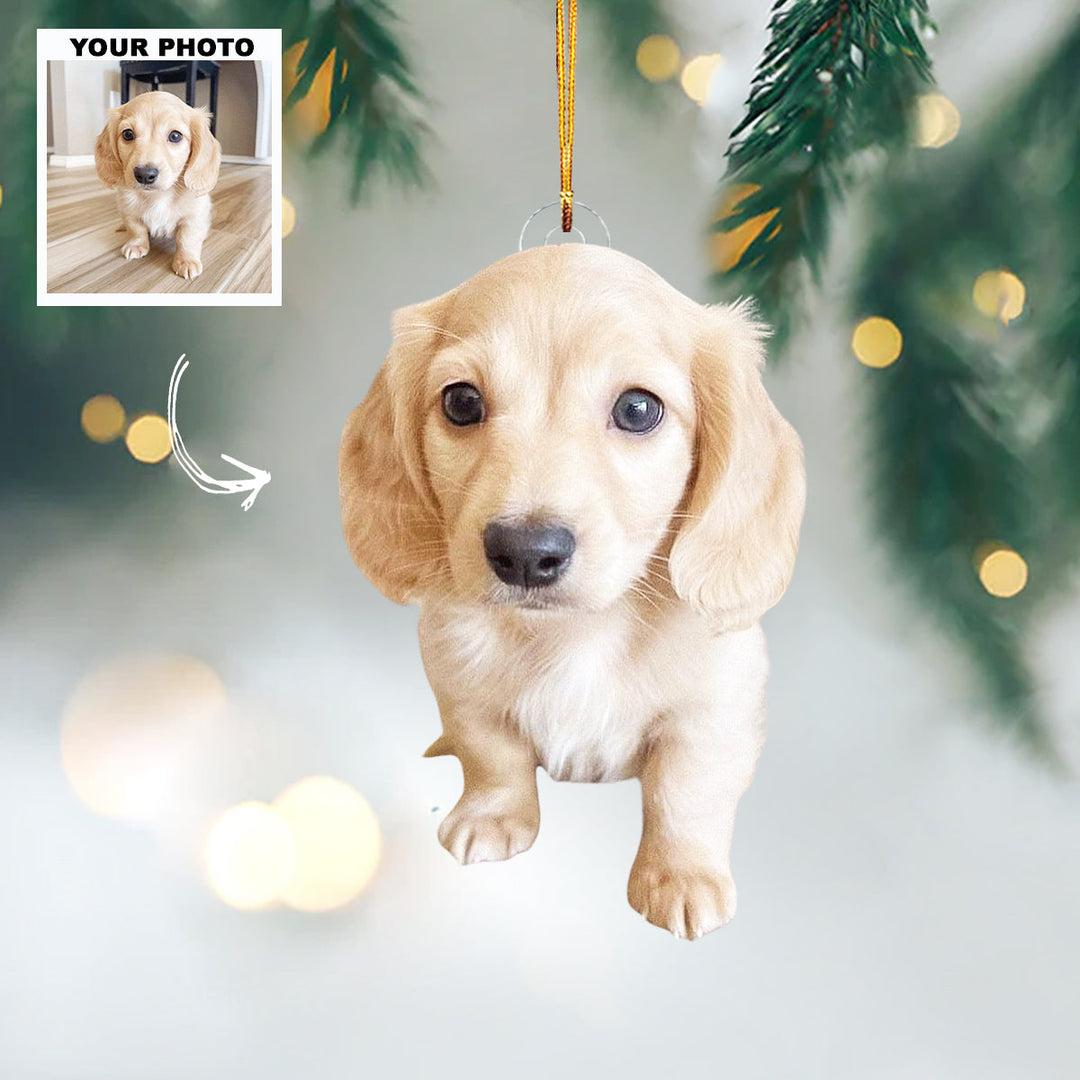 Furry Heart - Personalized Photo Mica Ornament - Christmas Gift For Pet Lovers