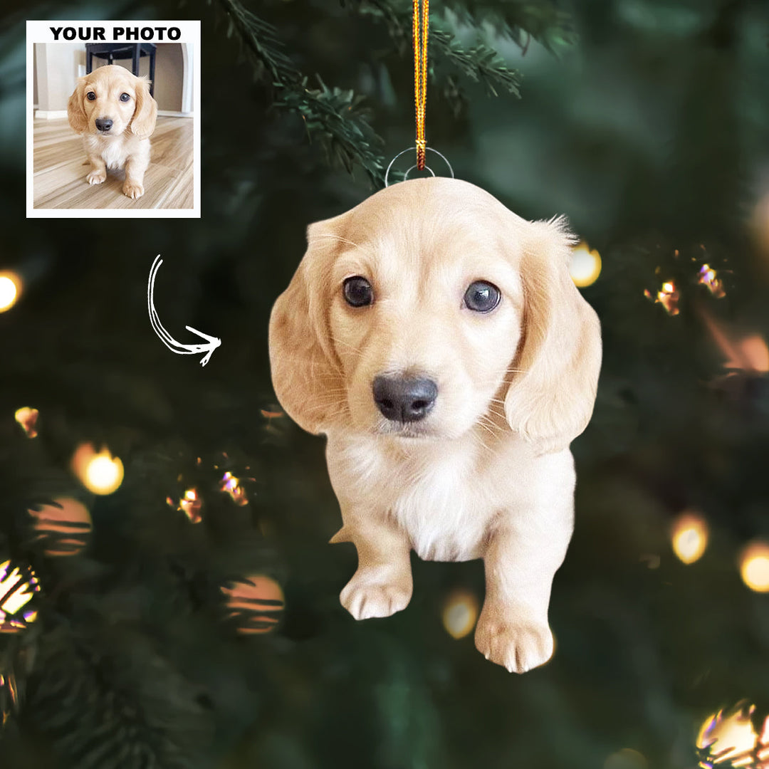 Furry Heart - Personalized Photo Mica Ornament - Christmas Gift For Pet Lovers