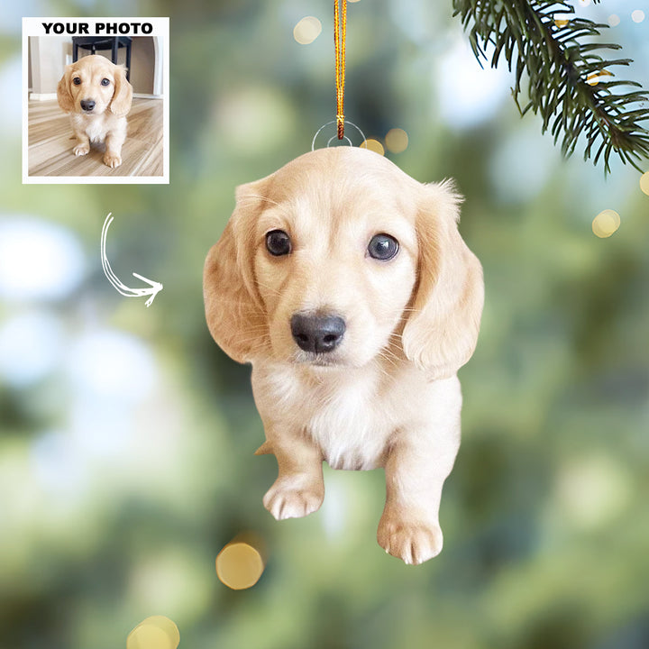 Furry Heart - Personalized Photo Mica Ornament - Christmas Gift For Pet Lovers