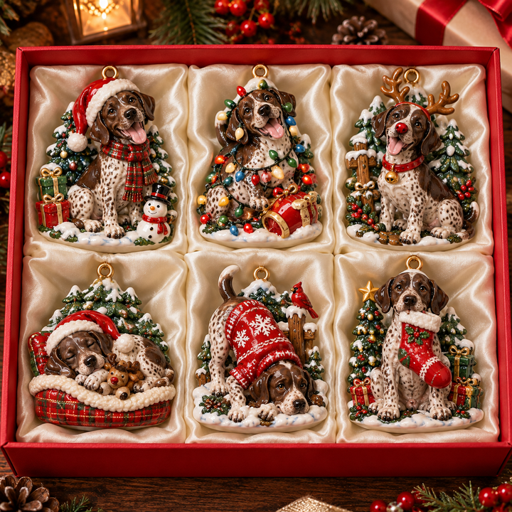 German Shorthaired Pointer Christmas Acrylic Ornament Gift Set NCU0TH112