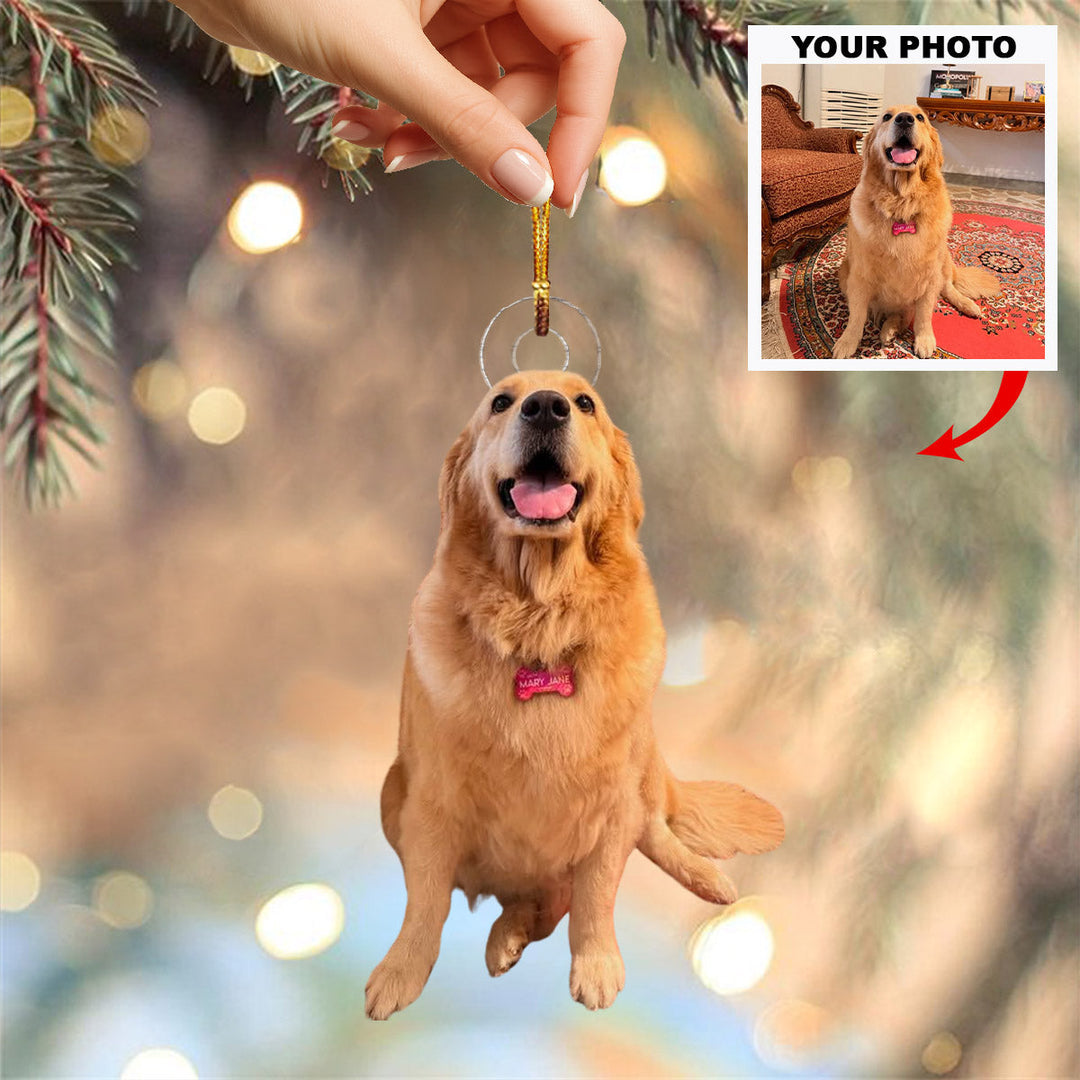 Golden Paw Joy - Personalized Photo Mica Ornament - Christmas Gift For Pet Lovers